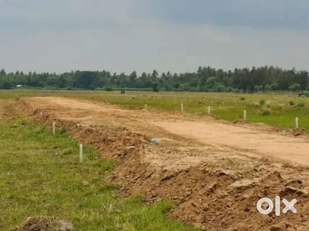 200 acre for sell