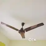 Well maintained ceiling fan for sale