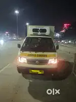 Frozen food transport