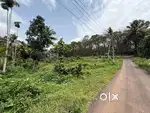 1 ACER PLOT FOR SALE VAKATHANAM KANNACHIRA PUTHENCHANTHA ROAD