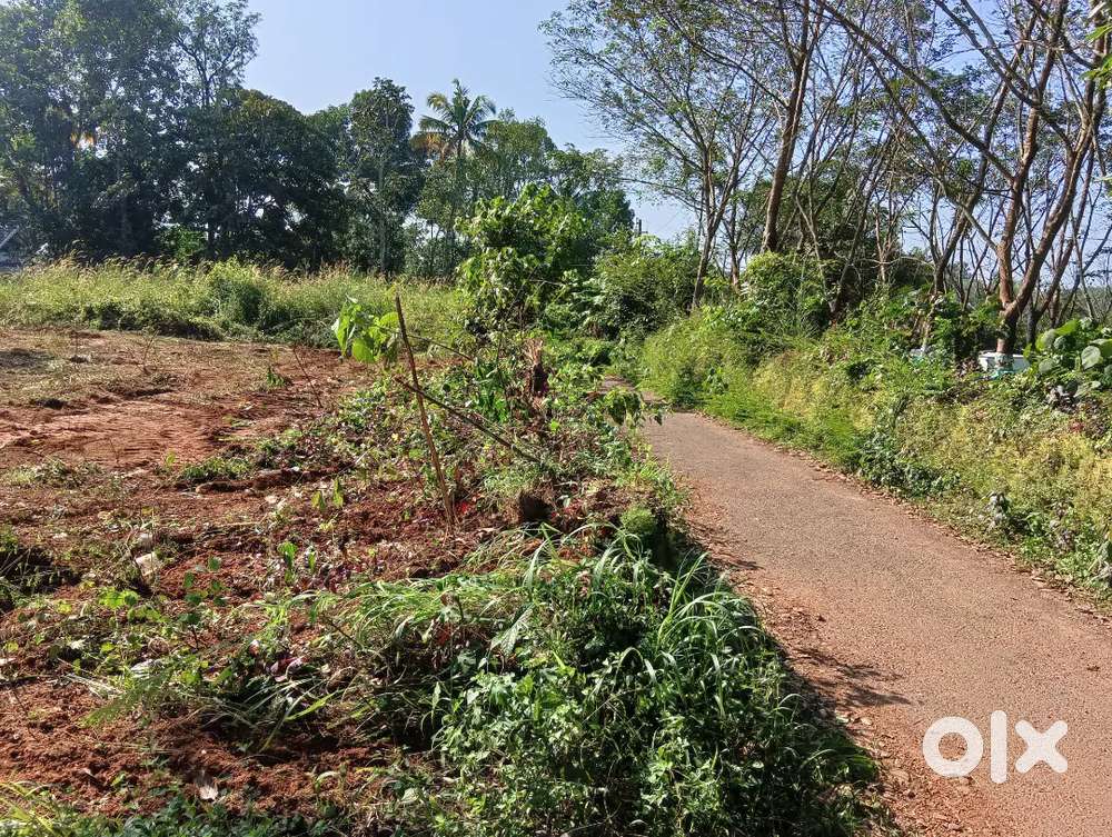 Ernakulam, pulickamaly 15cent plot for sale.