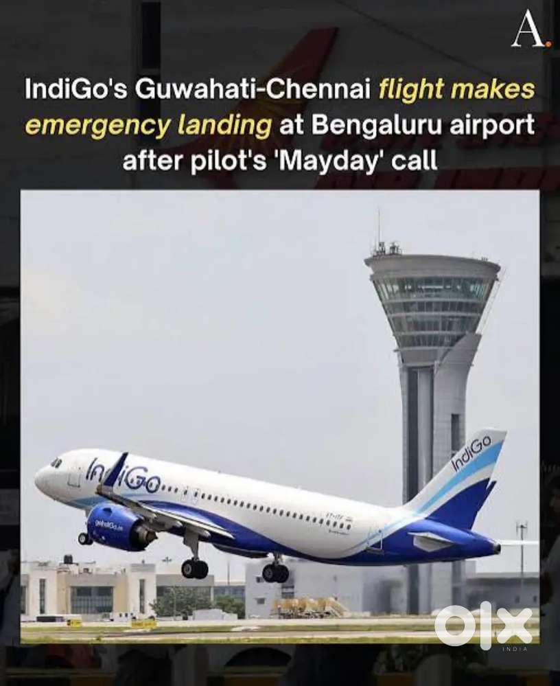 Cabin Crew/Airport Ground Staff Jobs In IndiGo Airlines Apply Fast