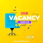 FRONT DESK EXECUTIVE