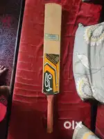 Kokabura kashmir willow bat