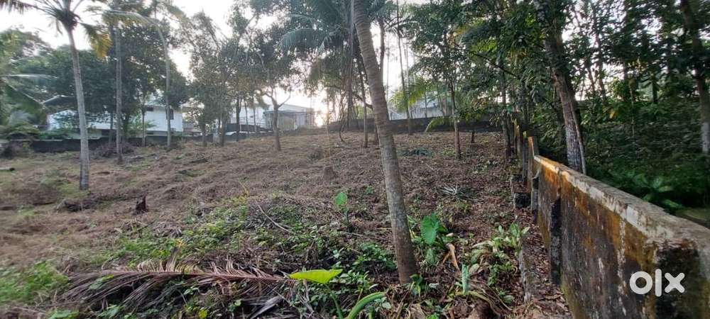 27 Cent Plot for Sale in Vattappara, Kuttiyani!