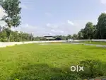 Kochi athai chungam house plot for sale per cent ₹3.50 lakh