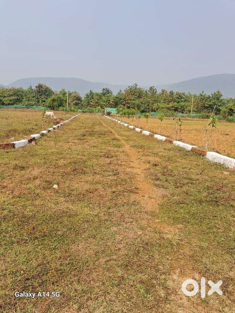 10000sqft farm land (Bagicha)