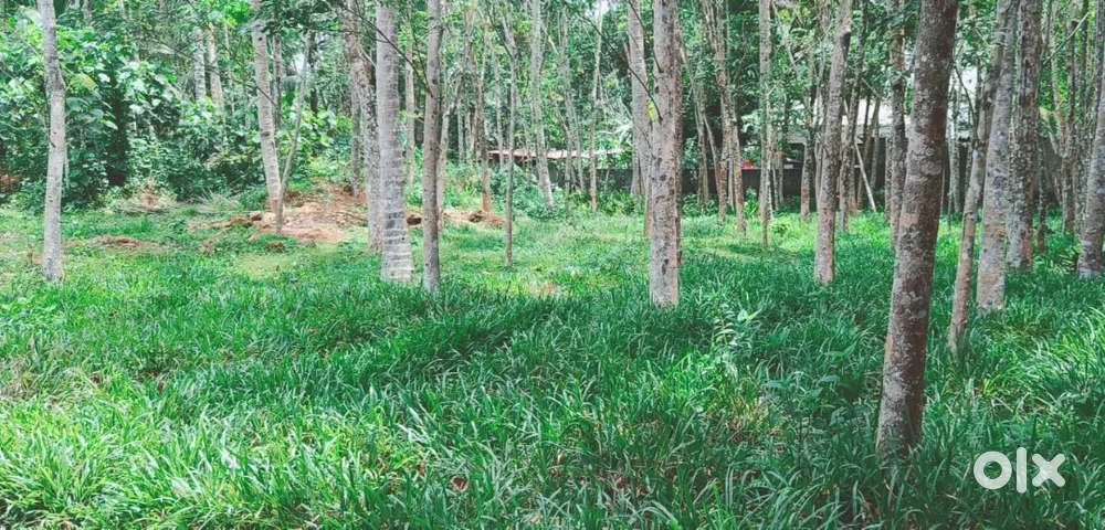 Property near MC road