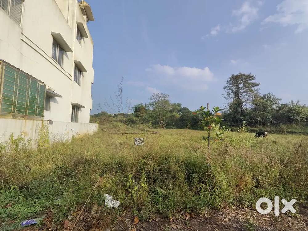 NA layout KGP plot for sale