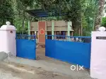 Independent House for Rent at Kairali school Road(50 cents).Nedumangad
