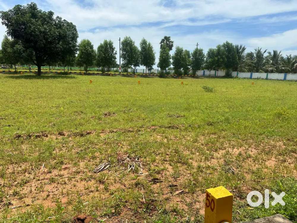 bhoyapalem to kapuluppada road