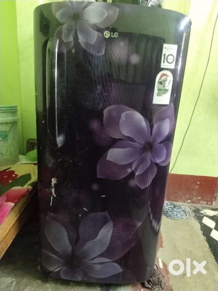 LG SMART INVERTER COMPRESSOR 4 STAR REFRIGERATOR