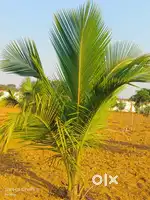 Nearby VIPRO ELECTRANIC CITY, MAHESHWARAM  SEZ