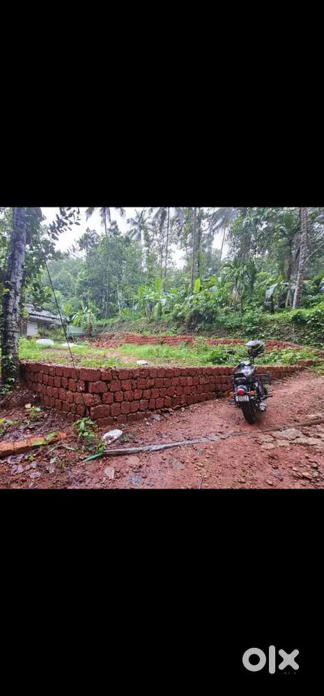 Land for sale Chethukadav