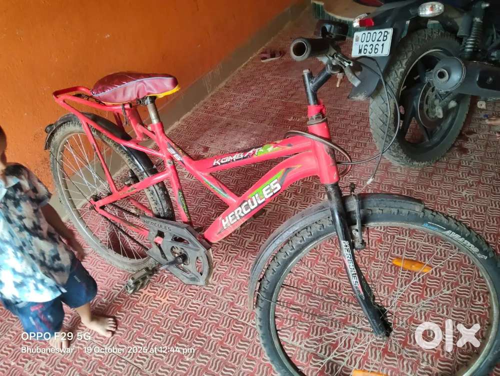 Best  new  cycle
