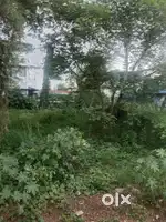 Thrissur puthanpalli 6.50 cent commercial plot for sale