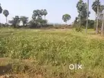 7+8 (total 15 Cents) Land for sale in Pendurthi