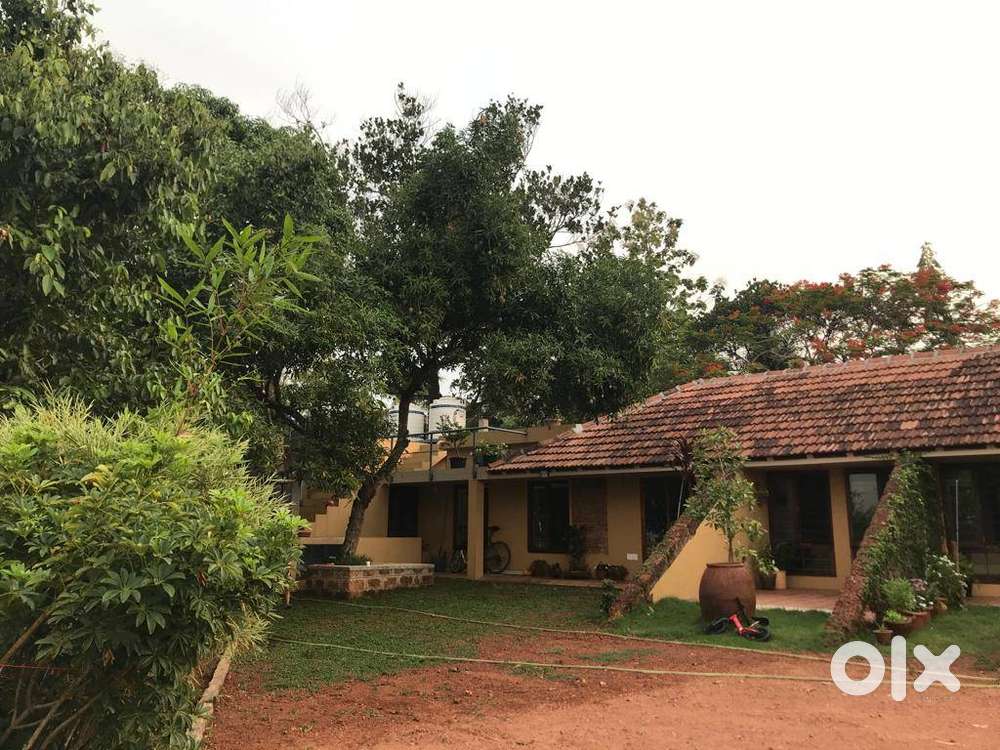 Hill top house in 40 cents land at Kakkanad