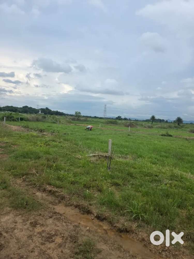 New project launch Rakhamines nearest station