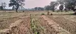 Want to sell 1.5acres agriculture land in govindpur tukum, nagbhid