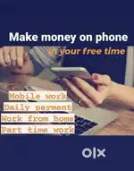 One of the best opportunity for work from home with daily payment