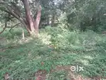 11.5 cent parambu  plot for sale  pampady thiruvilwamala