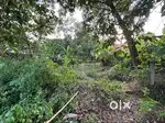 24 cent land - Koothattukulam-