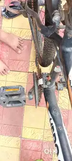 Gear cycle