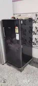 Rafrigratar