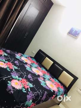 2 room sett fully furnished for rent in block c aerocity mohali