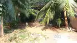 6 cents Land among residential houses near Medical College Main Gate