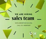 Sales executive