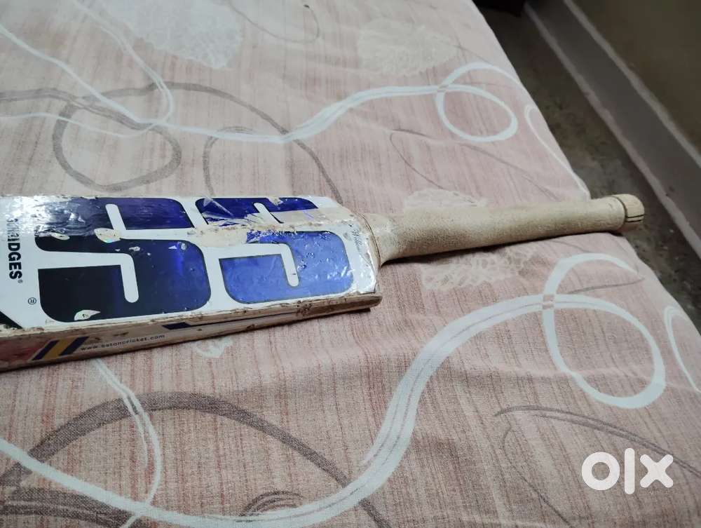 SS cricket bat