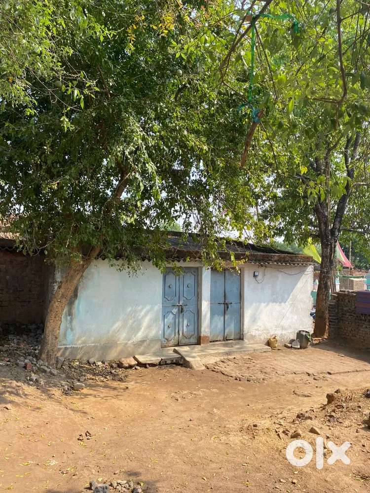 Mango millat nagar