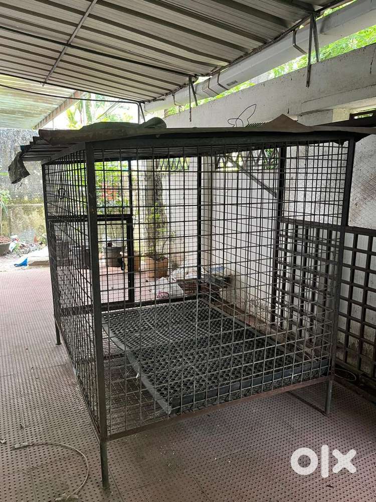 Dog cage old