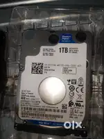 Any Type of SSD in best price