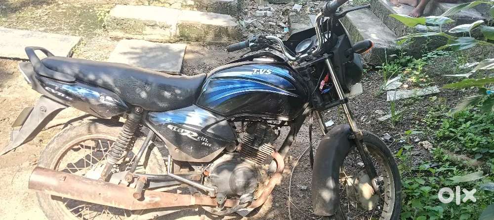 Mainar riper