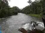 Beautiful 2.5 acre property forest/river facing in Thirunelly, Wayanad