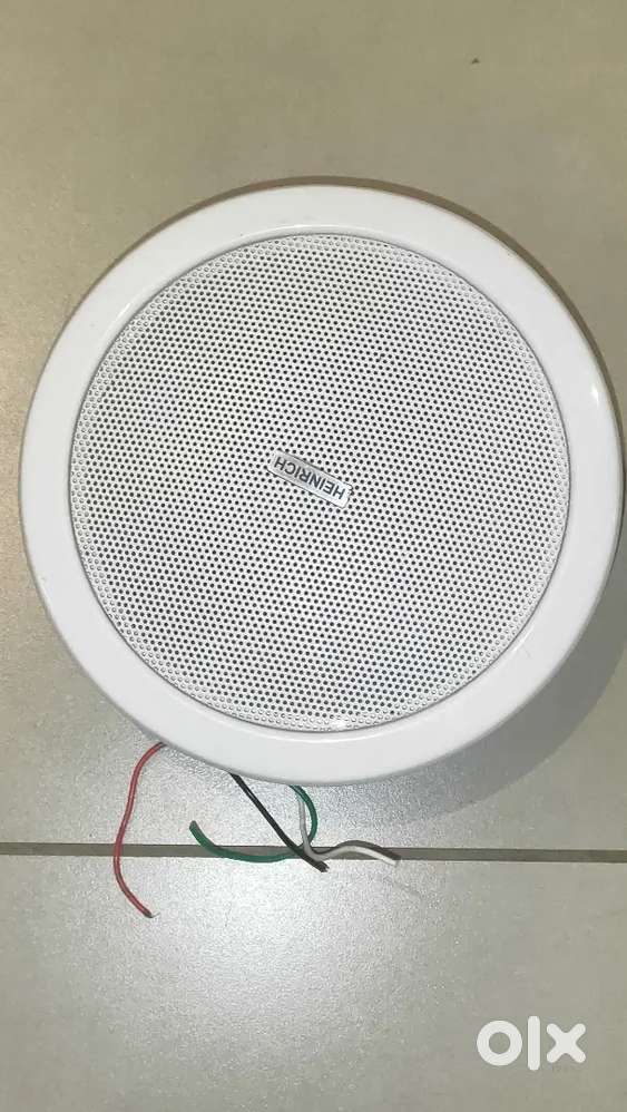 Heinrich ceiling speaker
