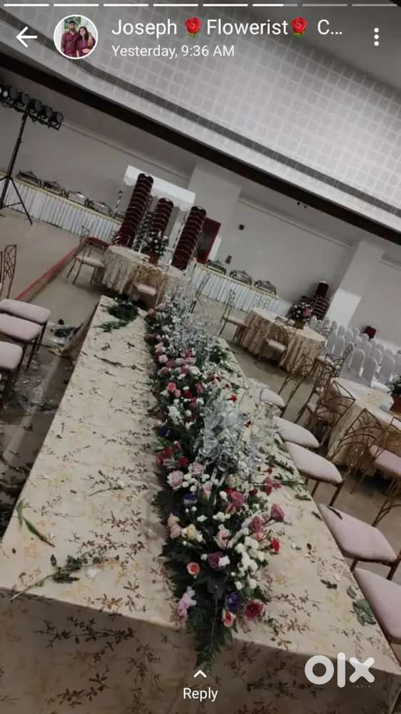 Main cook kitchen helper