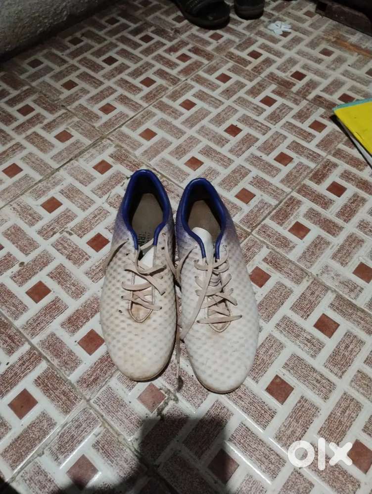 Nivia oslar 2.0