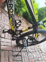 10 gears bicycle with back gears working