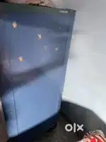 Samsung fridge