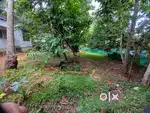 Residential 5.5 cent plot for sale