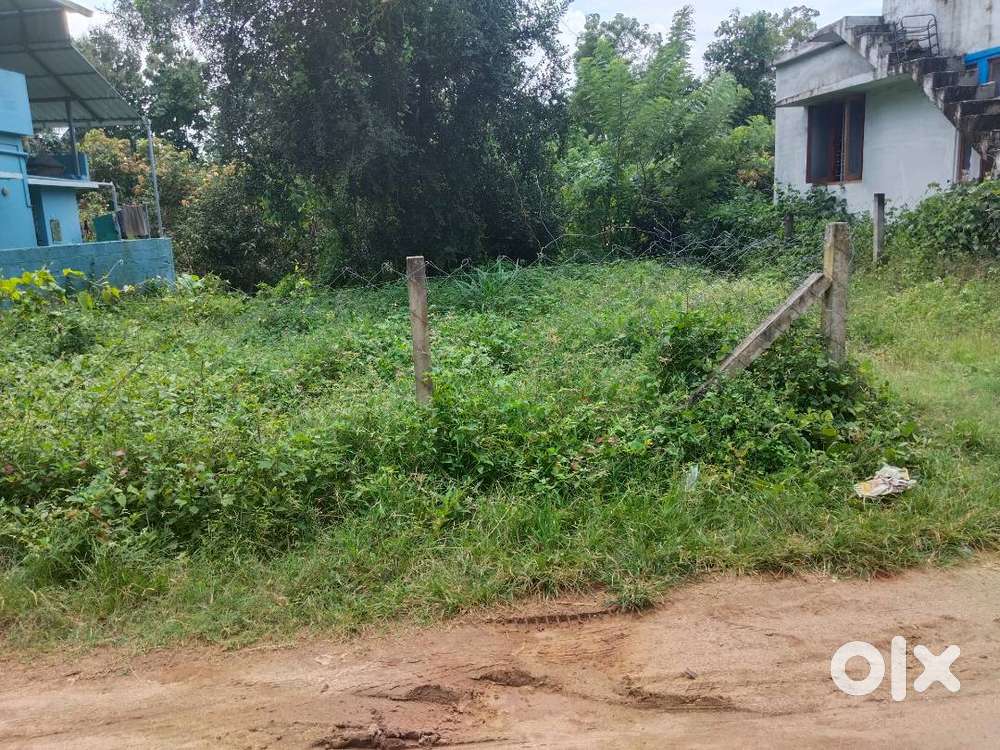 4.5 cent parambu located in the tattamangalam municipality