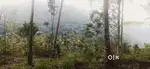 TOURISM NATURE FRIENDLY LAND FOR SALE NEAR MUNNAR (4.5 ACRES)
