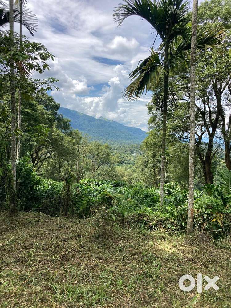 70 CENT COMMERCIAL LAND FOR SALE,GANDHIROAD,CALICUT