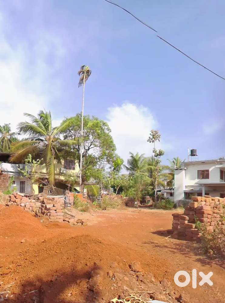 അഴികോട്–മൈലാടത്തടം13സെന്റ് ,സെന്റ് ₹5 ലക്ഷം. 1380 sqft വീട് ₹20 ലക്ഷം.