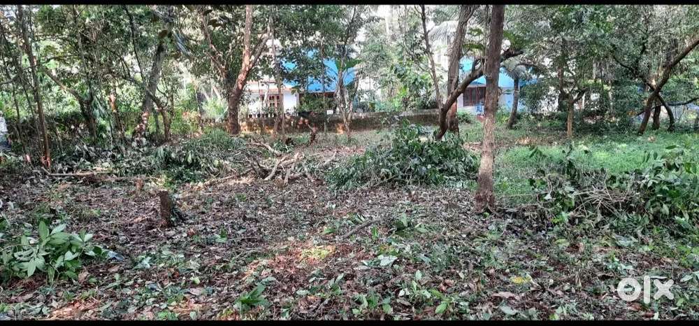 Land for sale