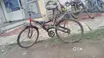 Study and reliable cycle -3 years old